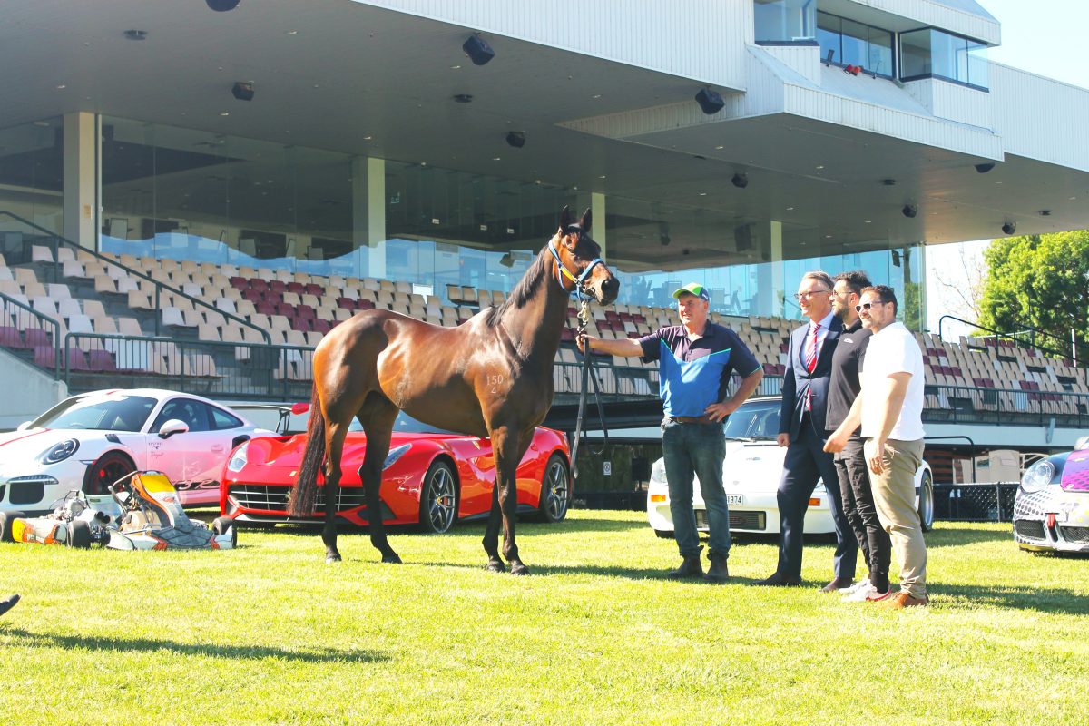 people standing with race horse at Thoroughbred Park