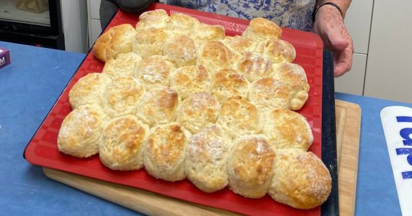 What makes a good scone? Canberra hosts first 'scone-off' to settle the debate