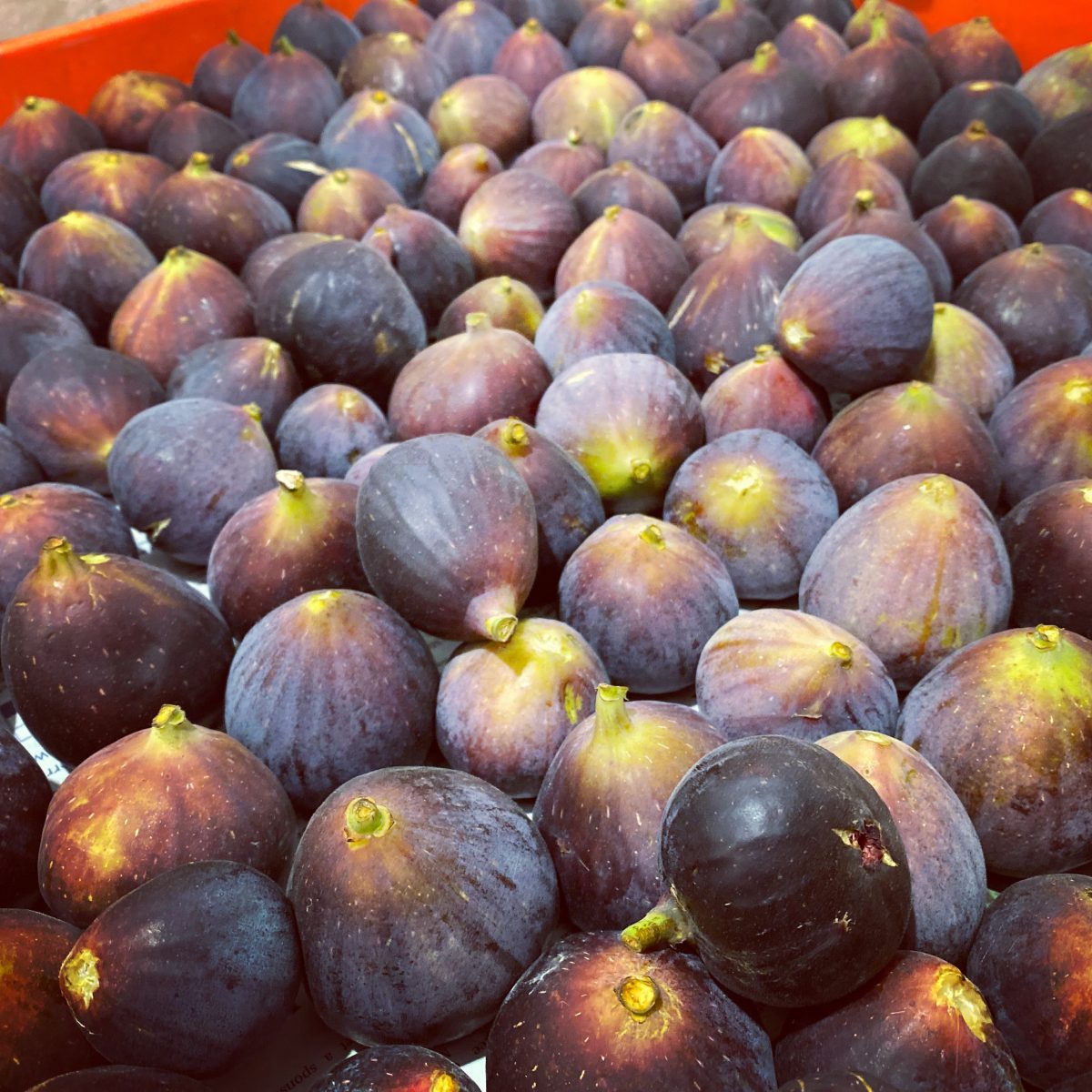 Many delicious figs in a bread crate