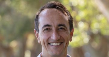 Dave Sharma wins NSW Senate pre-selection, beating Seselja and Constance