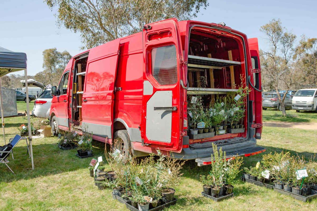 Plants set up from the back of a van at a market stall