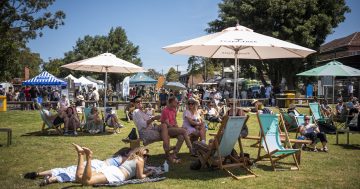 Let summer begin at the Jervis Bay Gin Festival!