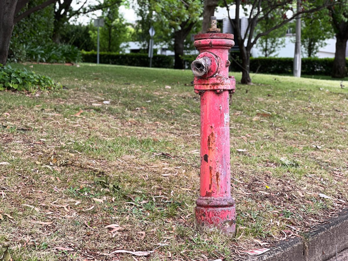 Red heritage fire hydrants in Forrest