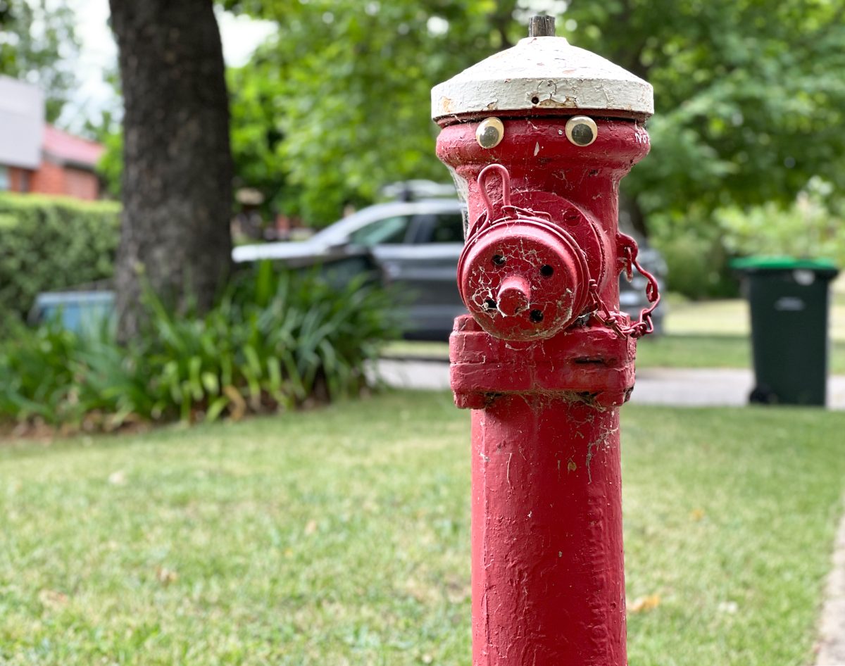 Red heritage fire hydrants in Forrest