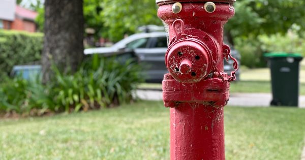 Little red icons: maintaining Canberra’s hydrants in heritage precincts