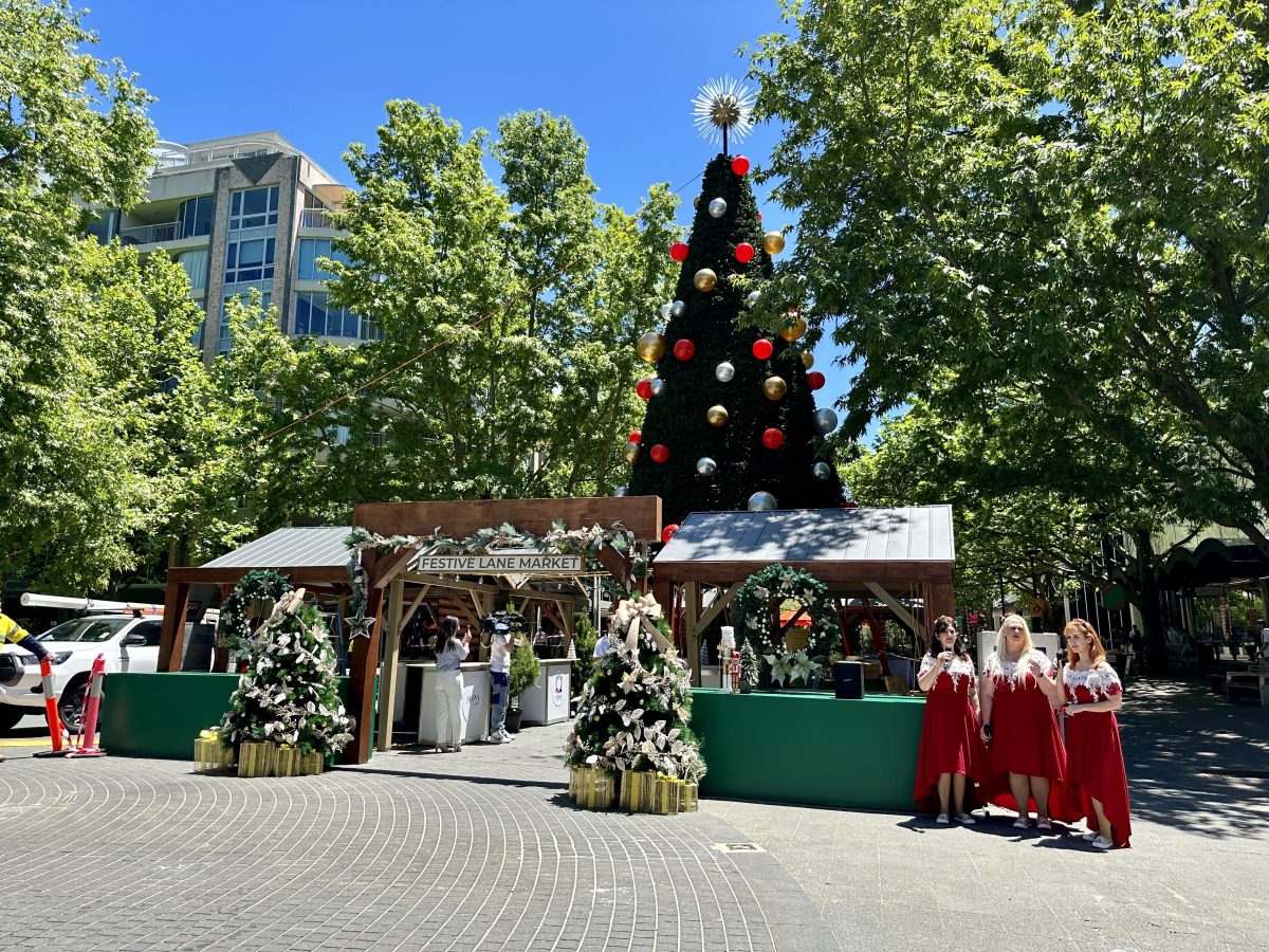 Christmas tree in Civic