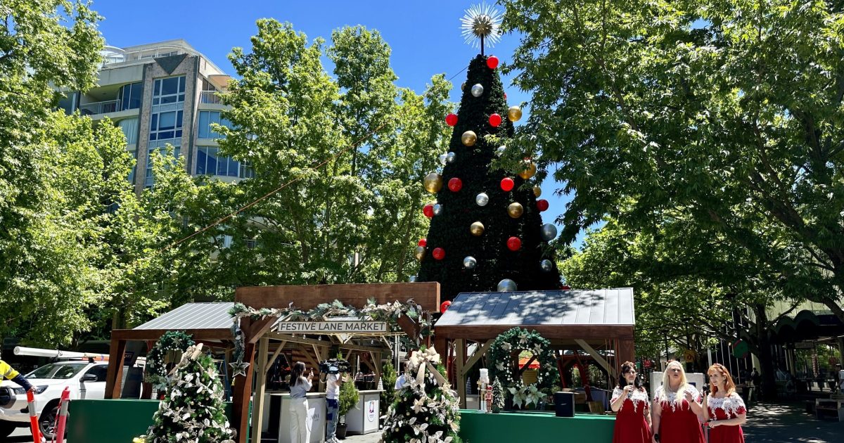 How Does Canberras Christmas Tree Compare To Others Around The World Riotact 3601