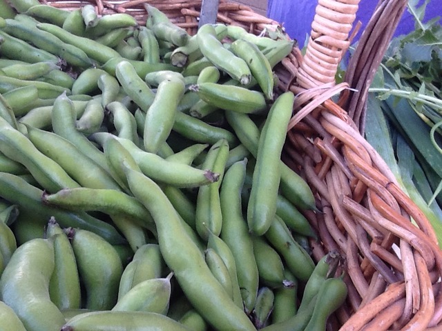 basket of broad beans