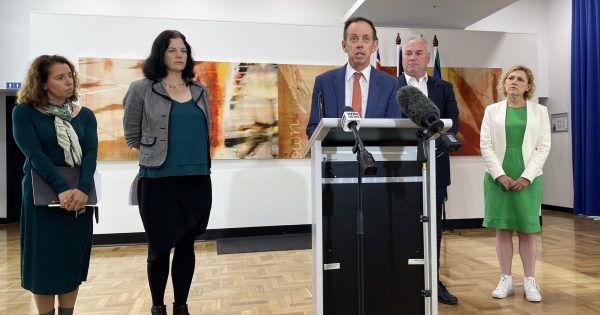 'Highly inappropriate': ACT Greens slam Labor's statement on handling of Johnathan Davis allegations