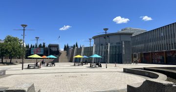 ACT's least visited library could be relocated as part of Canberra Theatre redevelopment