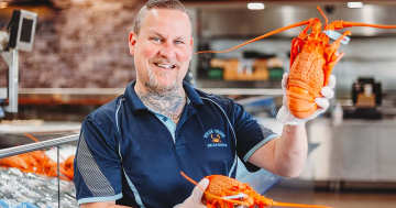 Christmas seafood tops the wish list at Fyshwick Fresh Food Markets