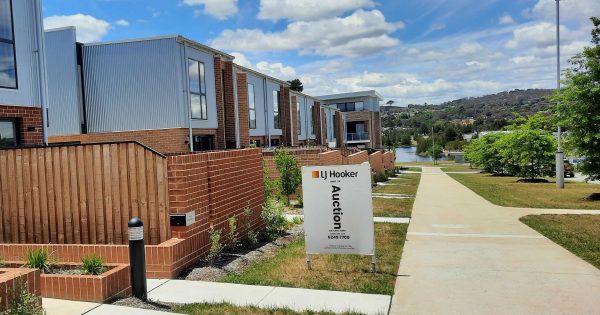 Prices are down but will economic good news bring Canberra buyers back to the market?