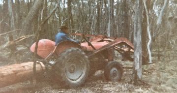 Firing up grey Fergies, Howard and Farmall tractors for rally celebrating special breed of workhorse