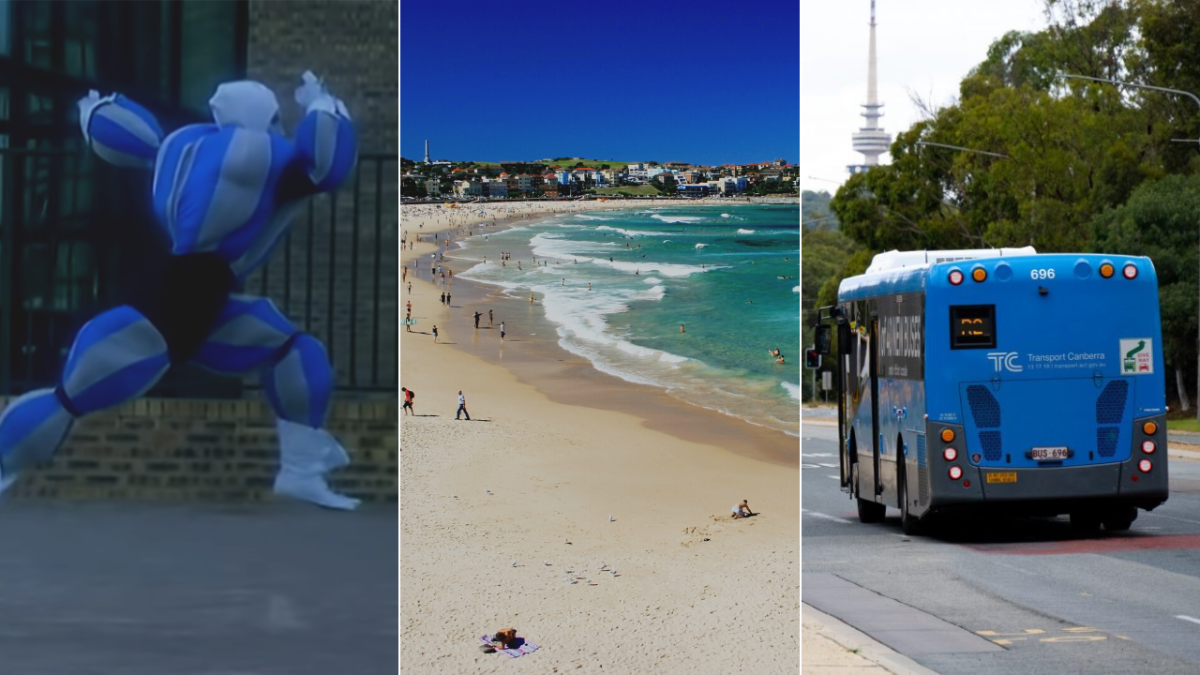 man in costume, NSW beach, Transport Canberra bus