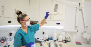 Canberrans are paying more for the dentist than anywhere else in the country