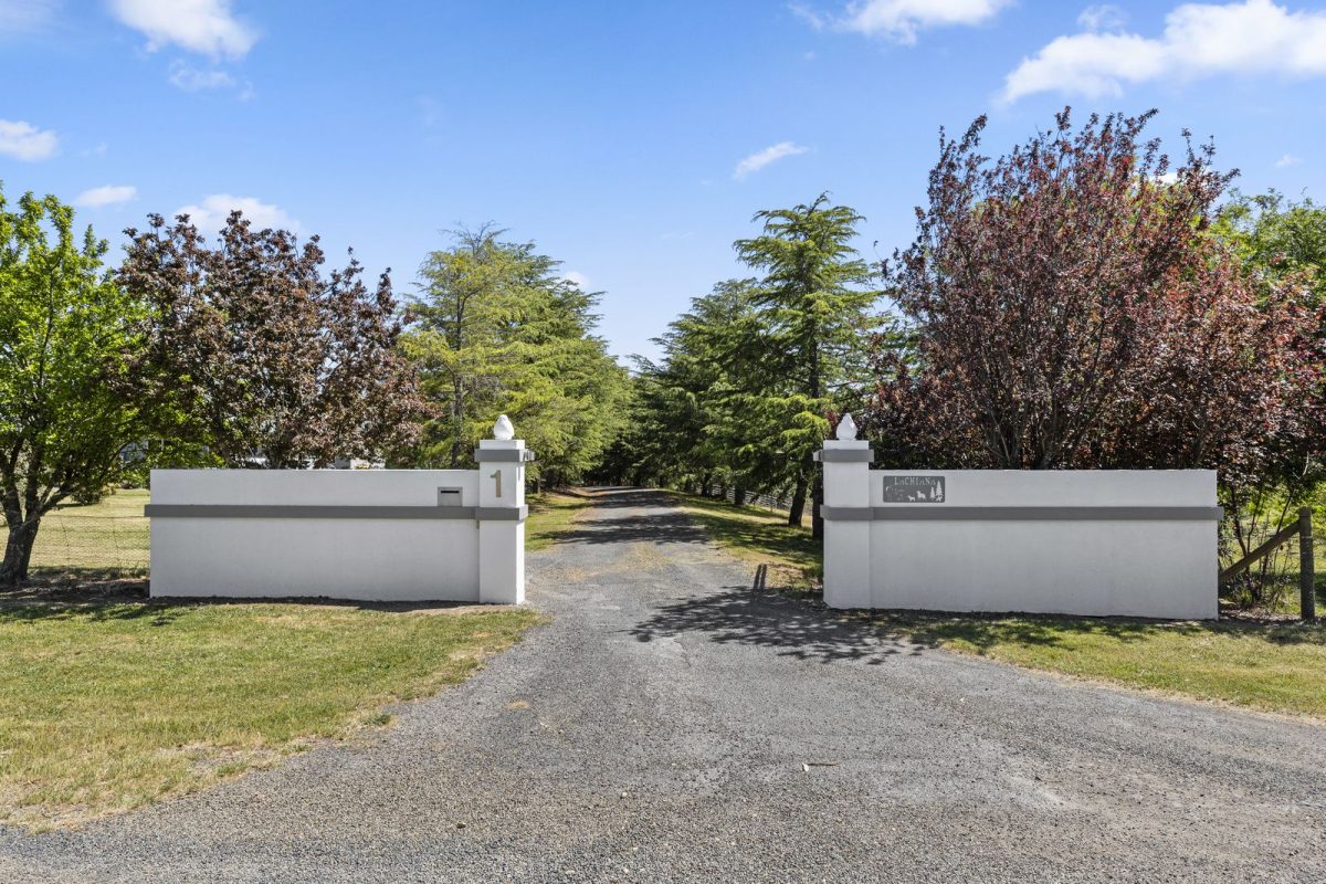 The front gate entrance to the property that leads into a tree-lined gravel driveway.