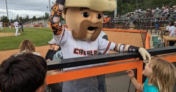 Canberra Cavalry hit a home run for festive fun with family and friends