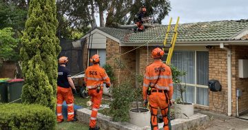 Canberra storm clean-up won't be completed until after Christmas