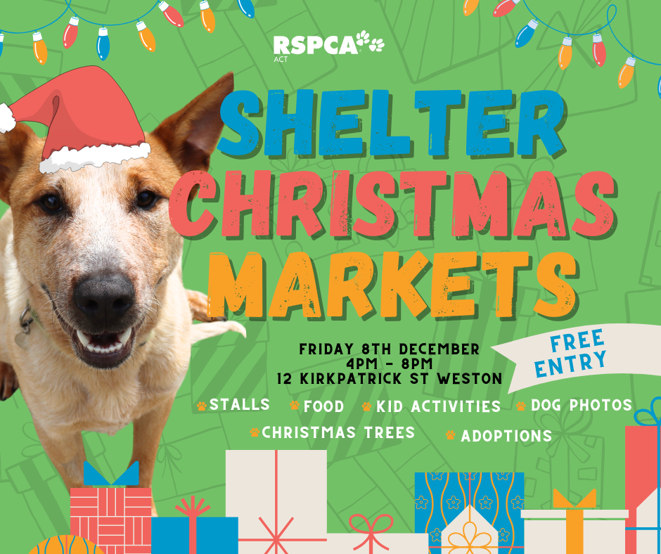 RSPCA ACT CHRISTMAS MARKET