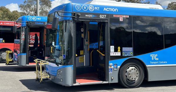 ACT Government pressured to offer free public transport if MyWay+ system isn't ready by September
