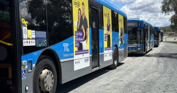 UPDATED: Expansion of on-demand bus would benefit some, but researchers warn against going full-speed ahead