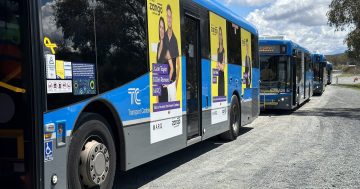 Liberals throw down the gauntlet with public transport policy