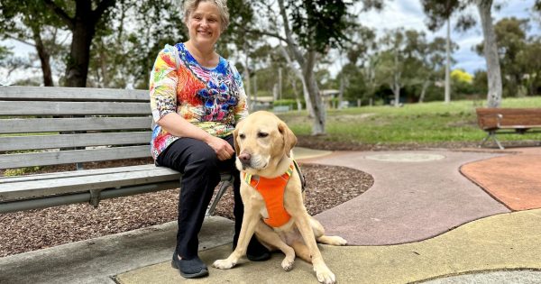 'Please don't pat the dog': Amanda says many still don't know the rules around guide dogs