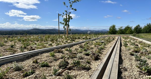 Testing begins at Arboretum on new type of light rail track