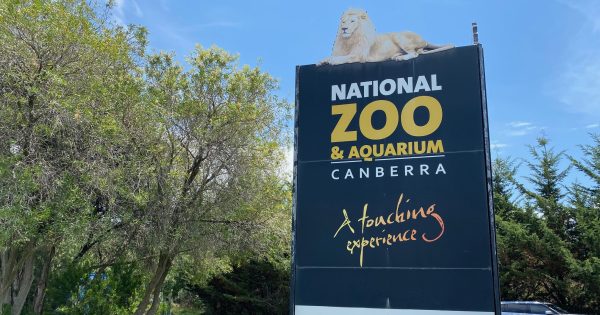 Over $26,000 raised to support family of Canberra zoo stabbing victim Tshewang Choden