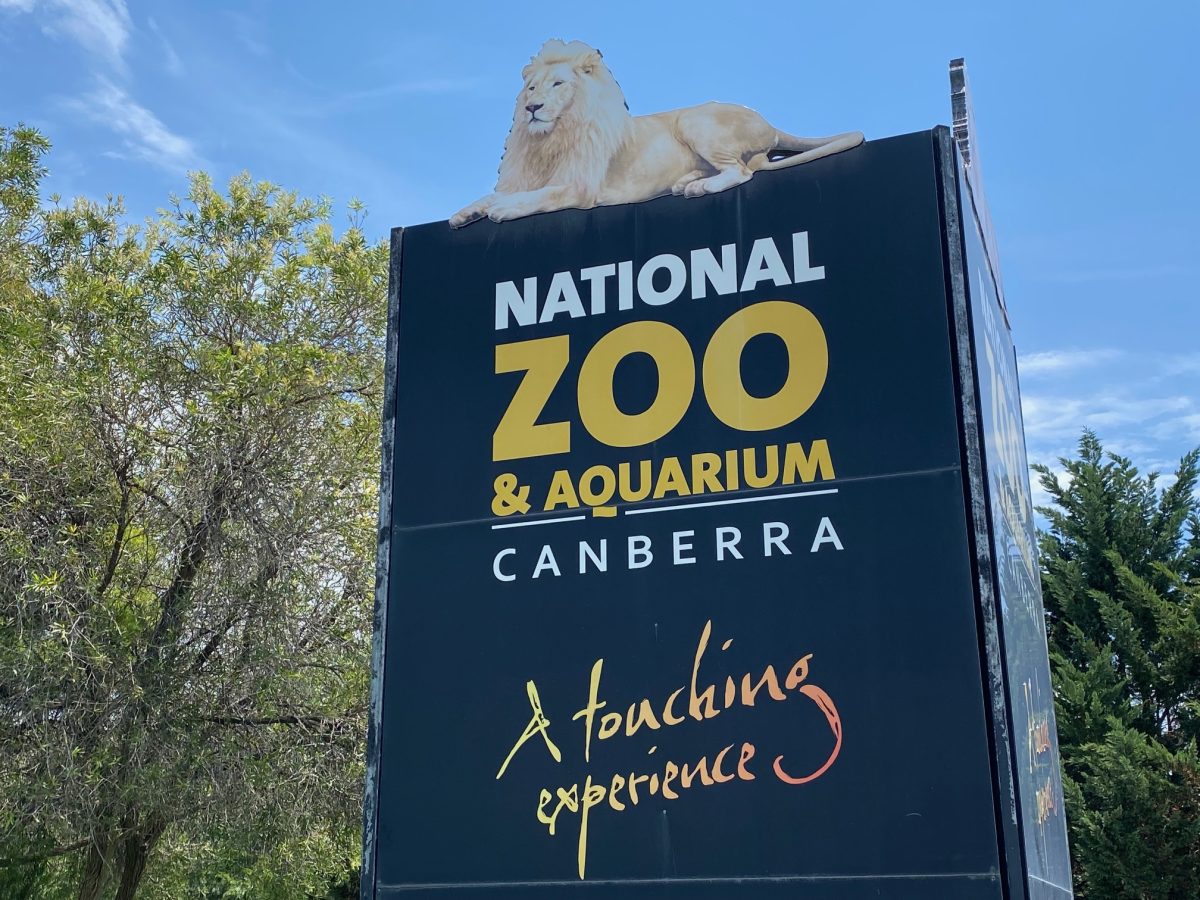 national zoo and aquarium canberra zoo 