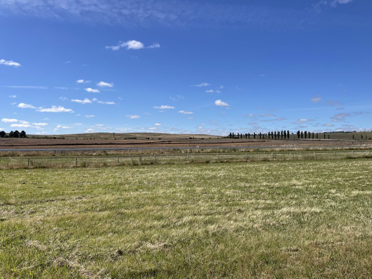 A photo of a field under a blue sky and some clouds