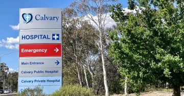 Thousands of Canberrans still waiting longer than clinically recommended for elective surgeries