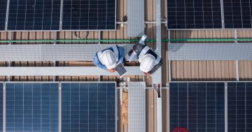 What owners corporations need to know about solar panels for apartment buildings