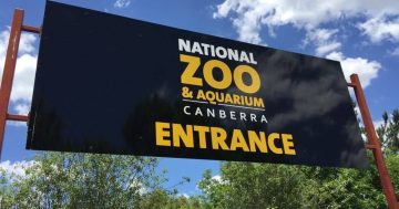 UPDATED: National Zoo to reopen on Wednesday, Jamala to remain closed until 30 December