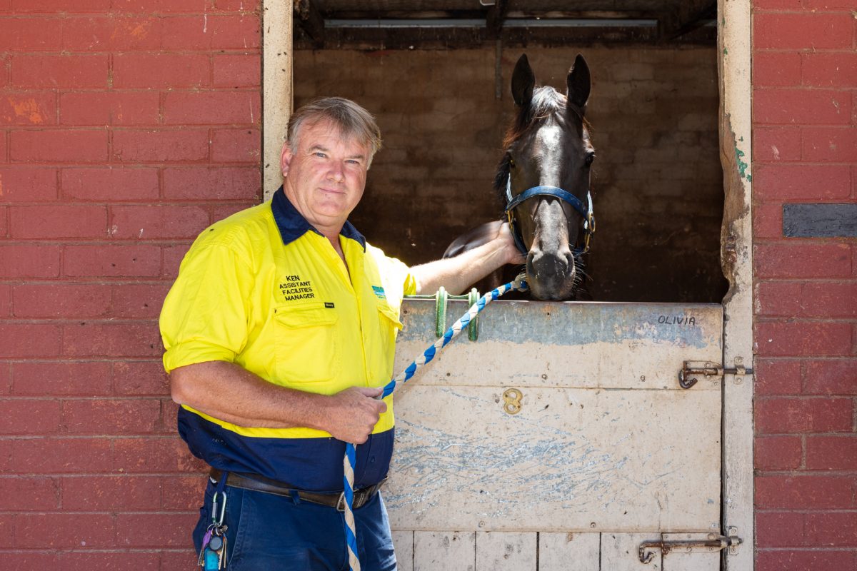 Man and a horse