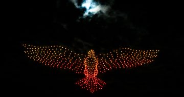 Drone shows to light up Australia Day weekend skies again