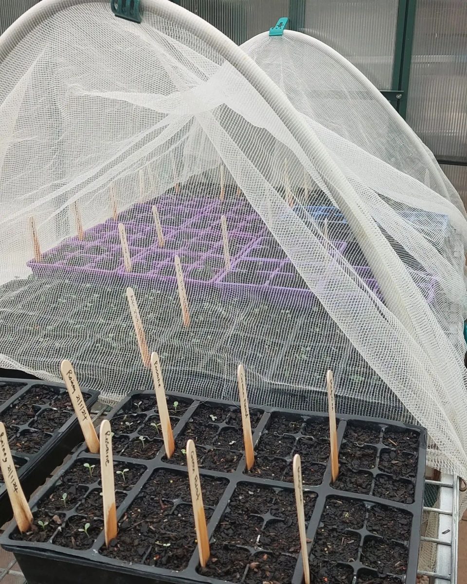 Seedling tray with netting