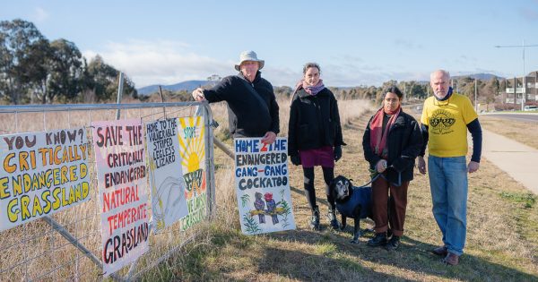 Lawson defence housing project site halved but conservationists vow to fight on