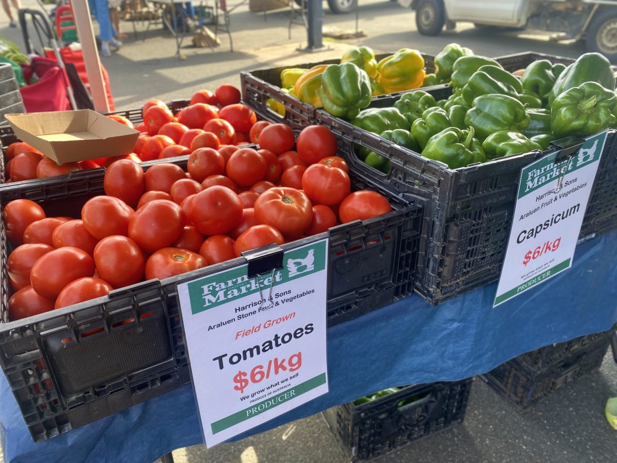 large trays of tomatoes and capsicums for sale