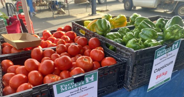 Community group input a key ingredient in shaping ground-breaking Canberra Food Strategy