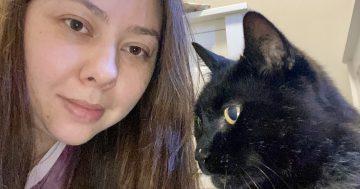 Missing cat reunited with owner six years after disappearing into a storm in 2017