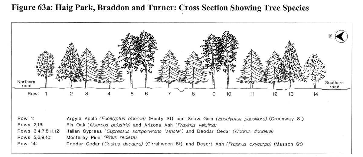 Haig Park trees