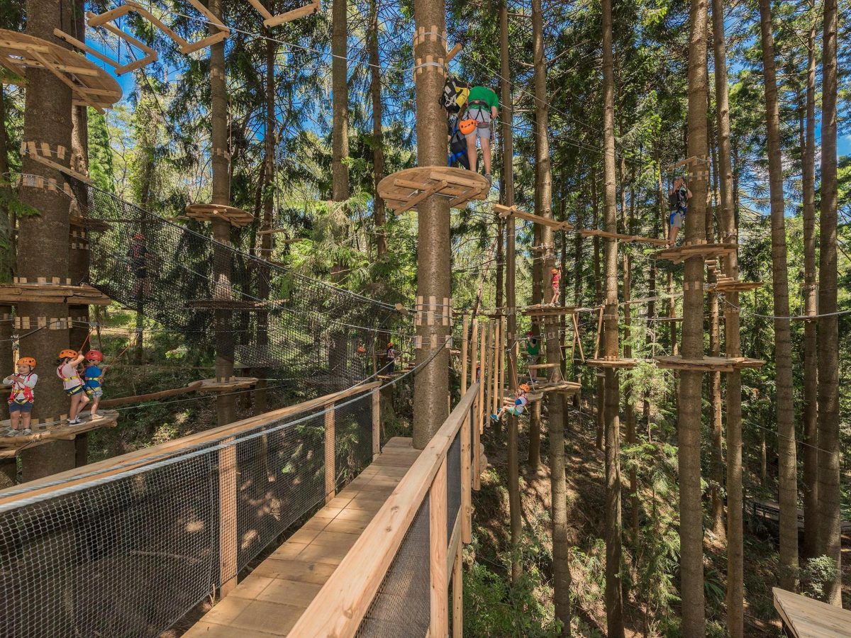 treetop adventure 