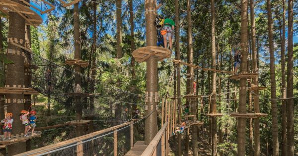 An 'ultimate outdoor adventure' is swinging into Majura Pines this year