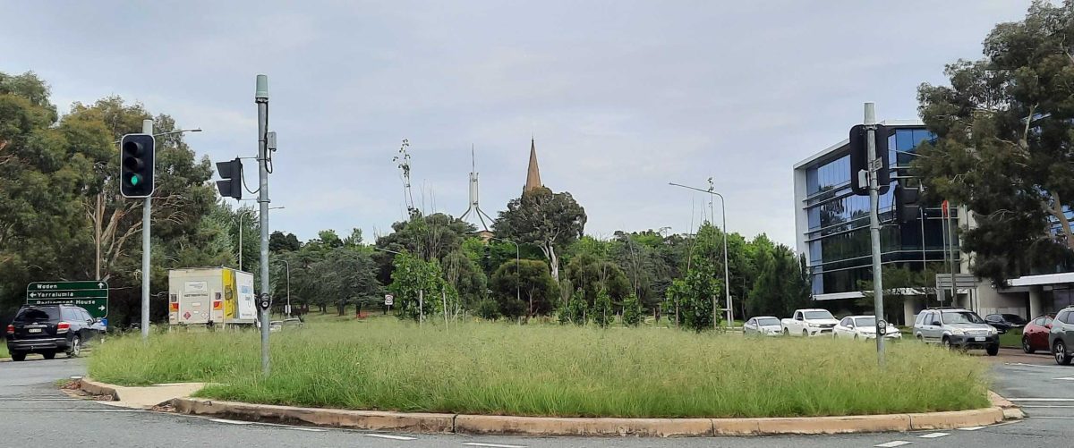 long grass at an intersection