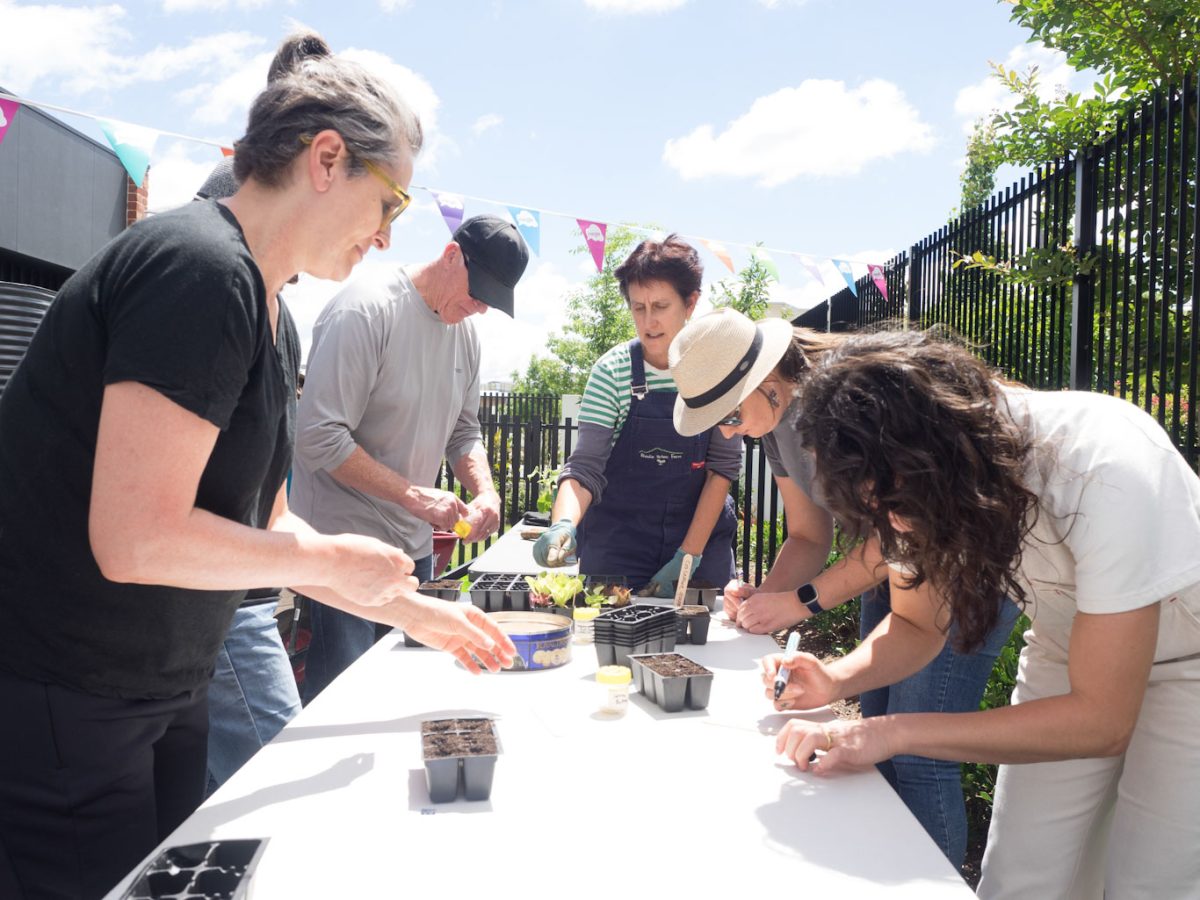 Group of people planting seeds in trays