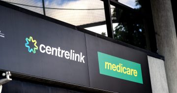 Shorten claims victory over huge Medicare and Centrelink backlog