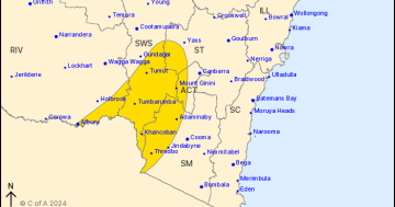 'Intense' rainfall not expected for Canberra but severe weather warning remains