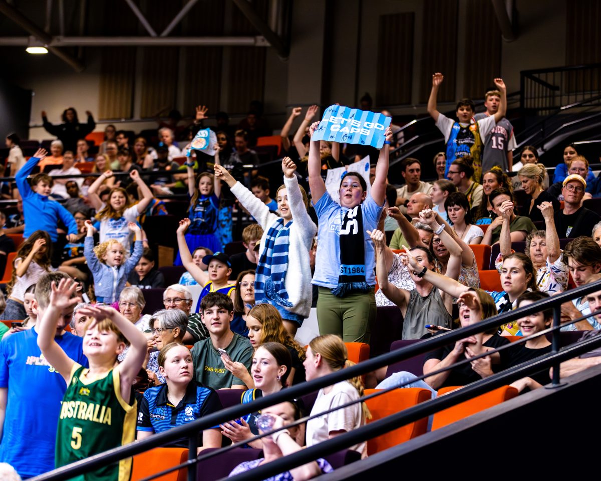 Crowd at a basketball game