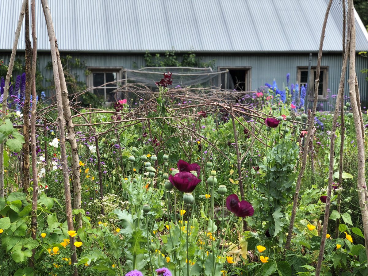 English vegetable garden